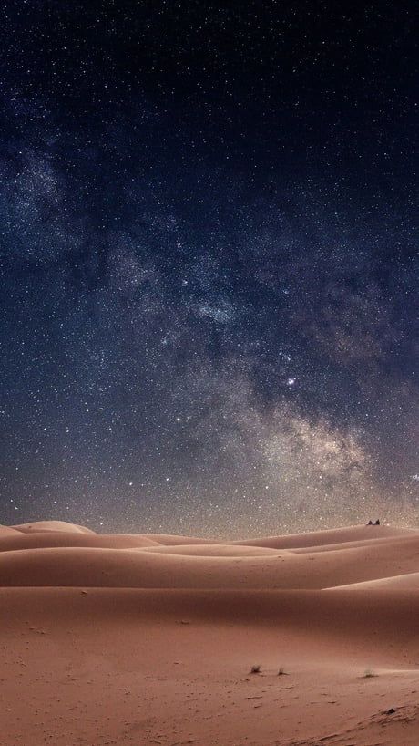 Fun Things To Do at The Desert In Qatar