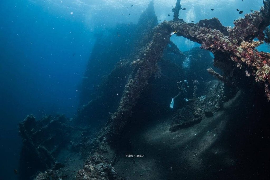 Diving the Wreck in Bali: Underwater Photography Guide