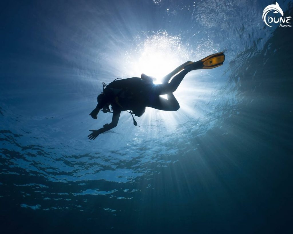 Overcoming Diving Anxiety for Beginners: the Essentials!