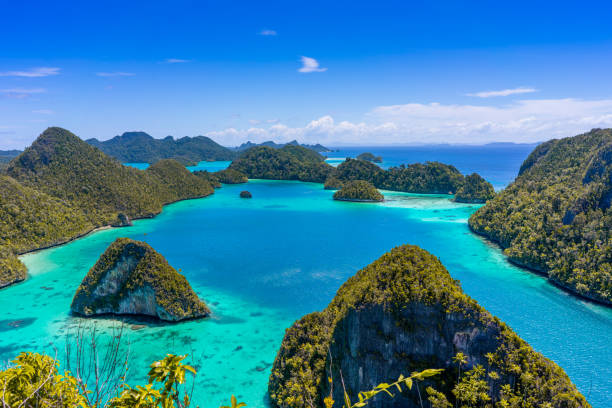 Raja Ampat Liveaboard Diving & What Makes It So Special?